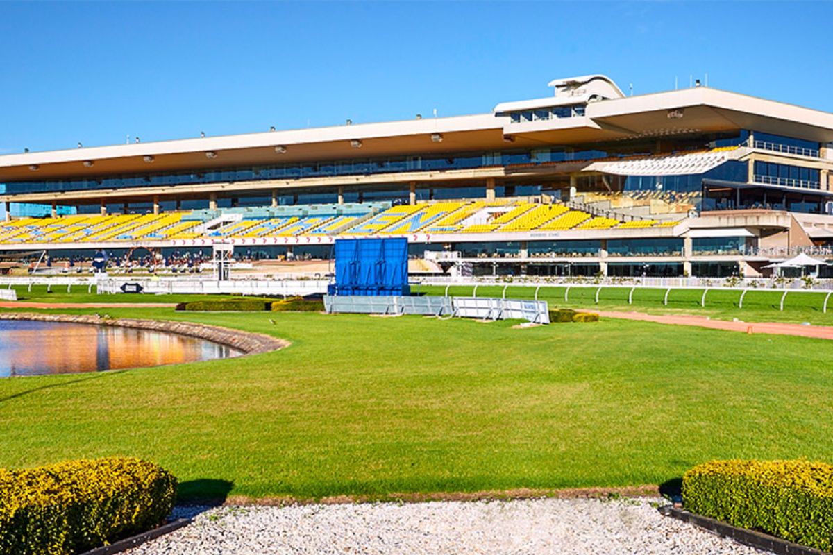 Article image for ‘New track, old controversy’ – Waterhouse family offers $330m land as possible Rosehill replacement