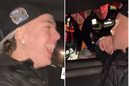 ‘Fu**ing goose’ – Audio of cops spraying speeding driver