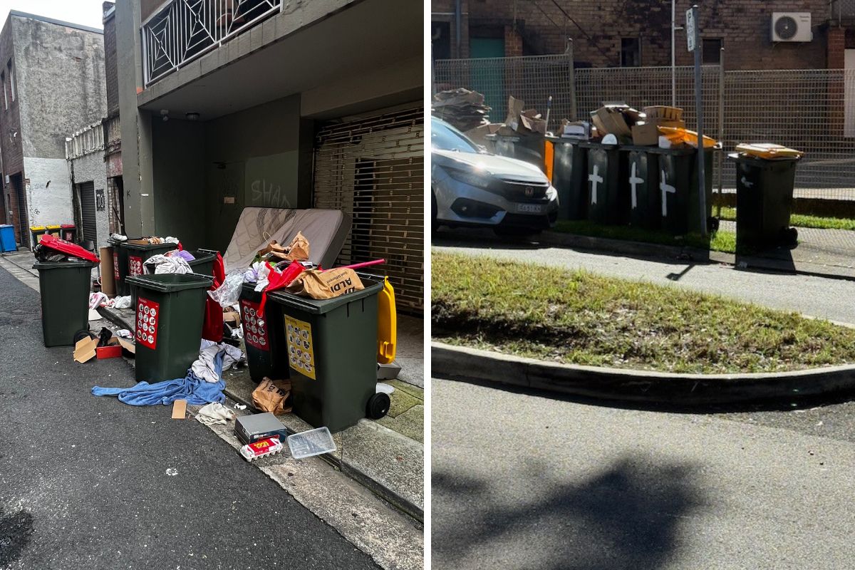 Article image for New bin system leaves rubbish scattered across Georges River streets