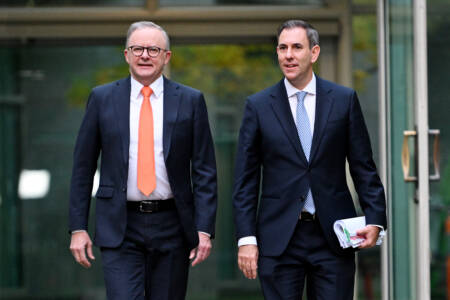 ‘Massive fail’ – Levy calls on Albanese government to re-think unrealistic gains tax