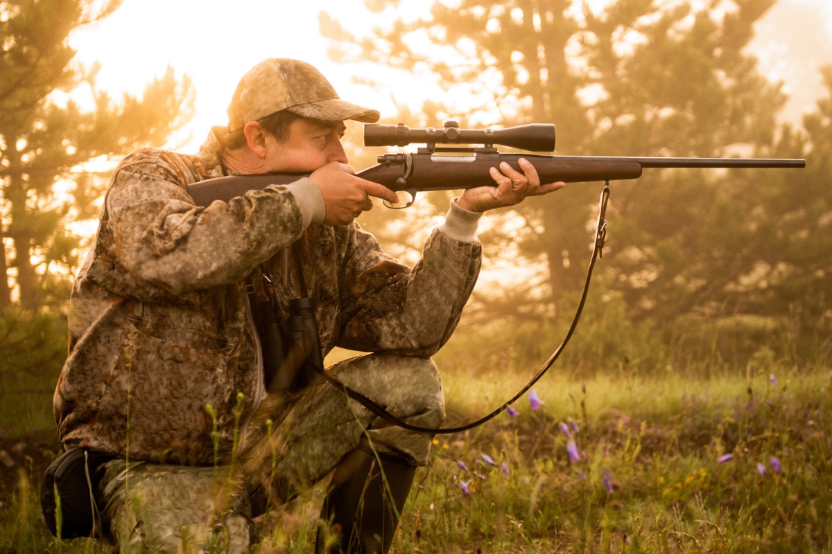 Article image for ‘Hunting debate’ – Government wants help killing feral animals