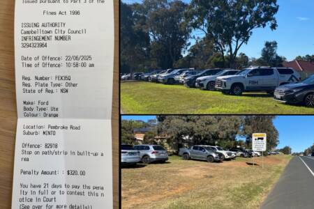 ‘Revenue raising!’ – Levy tees off on council’s wild parking fine spree