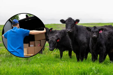 ‘Better deal’ – The Aussie farmer cutting out the middle man