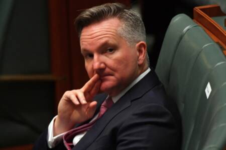 ‘Is Chris Bowen listening?’ – New York building new nuclear power plant