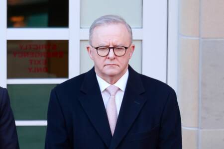 ‘Captive to ideological positions’ – Albanese government entertaining the idea of expediting Palestinian statehood