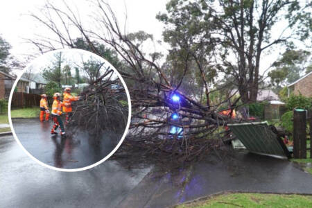 ‘Really complex’ – NSW ravaged by wild weather