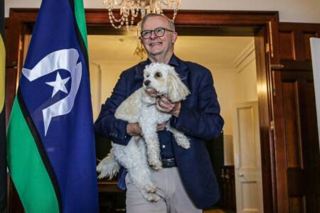 ‘Toto the climate killer’ – Dogs blamed for hurting the planet