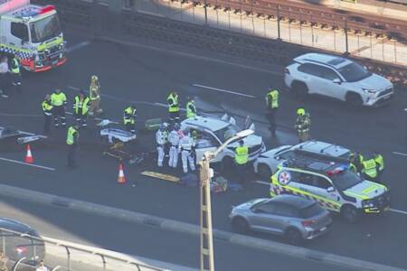 ‘Toll free day’ – Calls for compensation as Harbour Bridge crash halts Sydney