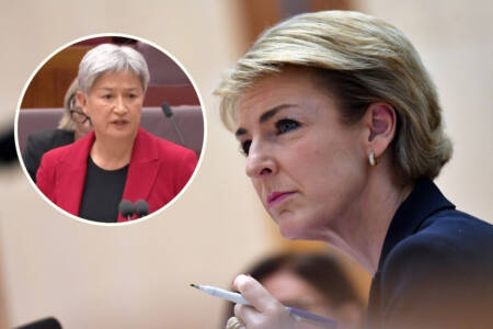 ‘Virtue signalling’ – Michaelia Cash double down on Penny Wong