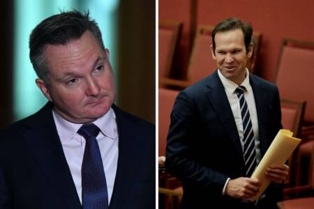 ‘Empty upstairs’ – Matt Canavan trades insults with Chris Bowen