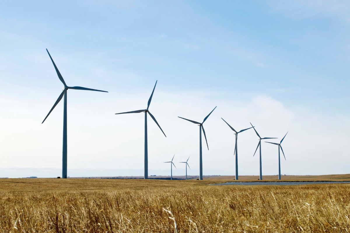 Article image for ‘Delusional’ – Power outages in community surrounded by wind farms