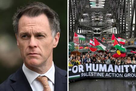 ‘Killed our attempt to debate’ – Minns shuts down ‘free speech’ on Bridge protests