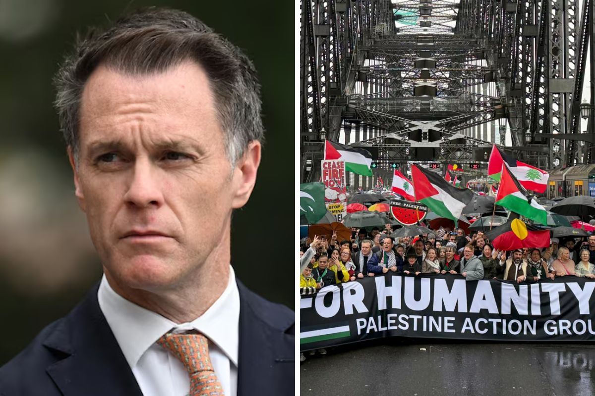 Article image for ‘Killed our attempt to debate’ – Minns shuts down ‘free speech’ on Bridge protests