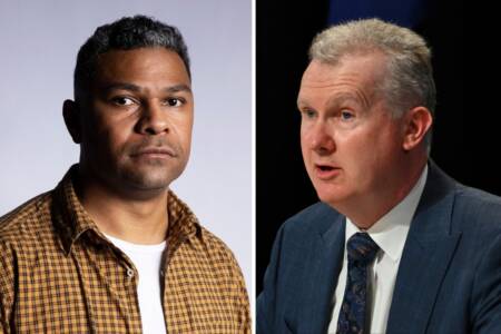 ‘Take action’ – Tony Burke grilled over public servant’s unhinged rant
