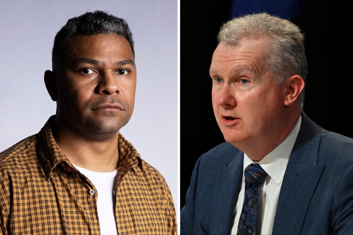 Article image for ‘Take action’ – Tony Burke grilled over public servant’s unhinged rant