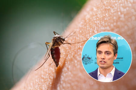 ‘Not like COVID’ – Calls for calm over new virus in China