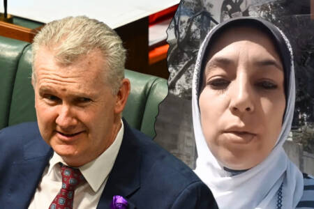 ‘Shocking spin’ – Dodgy explanation for Hamas supporter getting visa