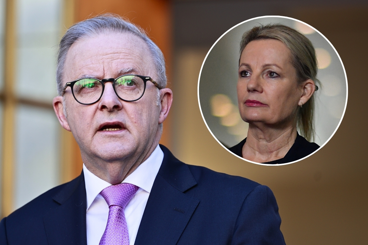 Article image for ‘Out of his depth’ – Sussan Ley blasts PM’s recognition of Palestinian state