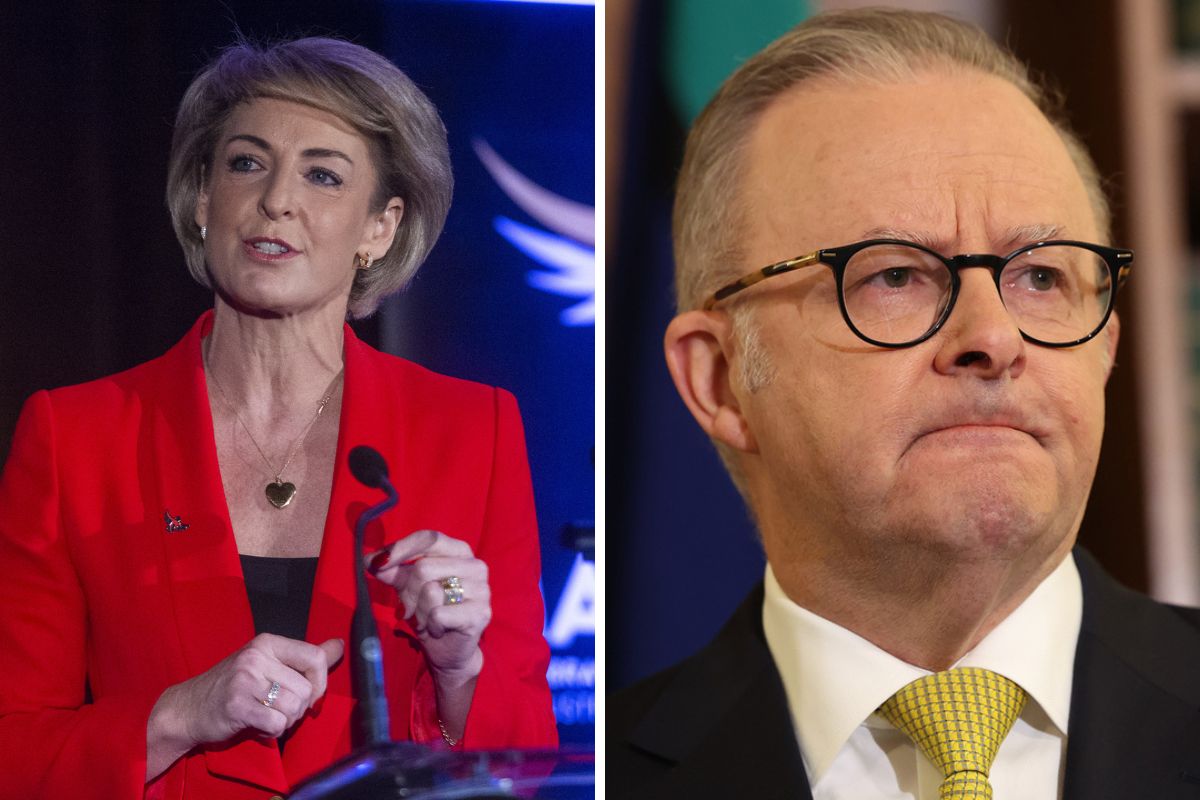 Article image for ‘Hang his head in shame’ – Michaelia Cash rips into the PM for Palestine recognition