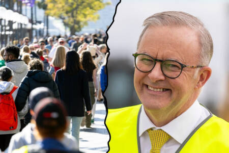 ‘Extra votes’ – Up to 85% of migrants support Labor