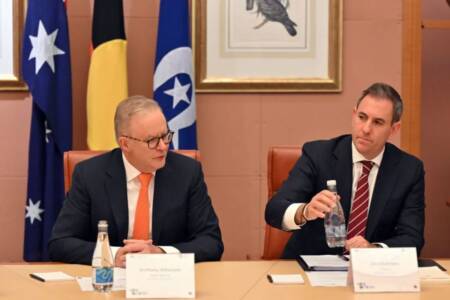 ‘They hate them’ – Amanda Rose blasts Labor for excluding small business from economic talks