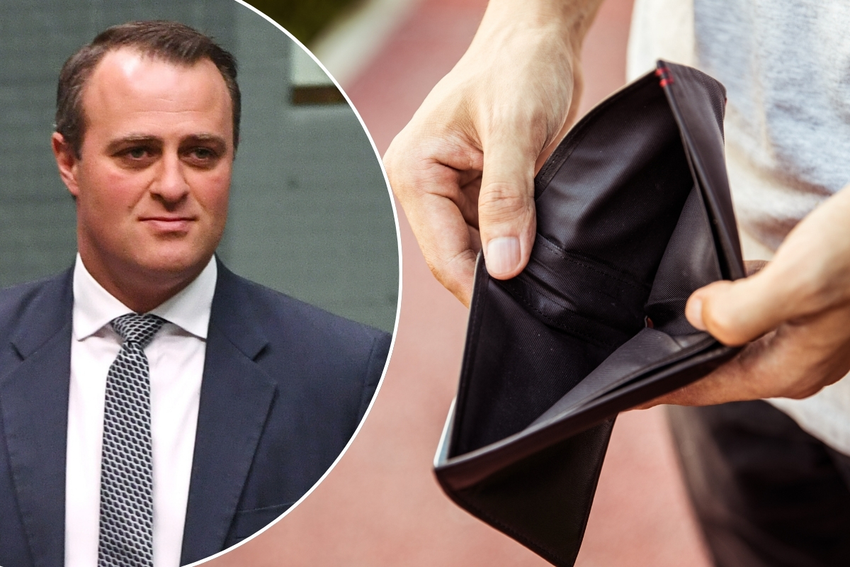 Article image for ‘Disturbing’ – Liberal MP’s pledge to take on ATO as small businesses struggle