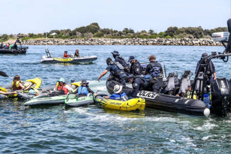 ‘Death wish’ – Ports boss issues warning to climate kayakers