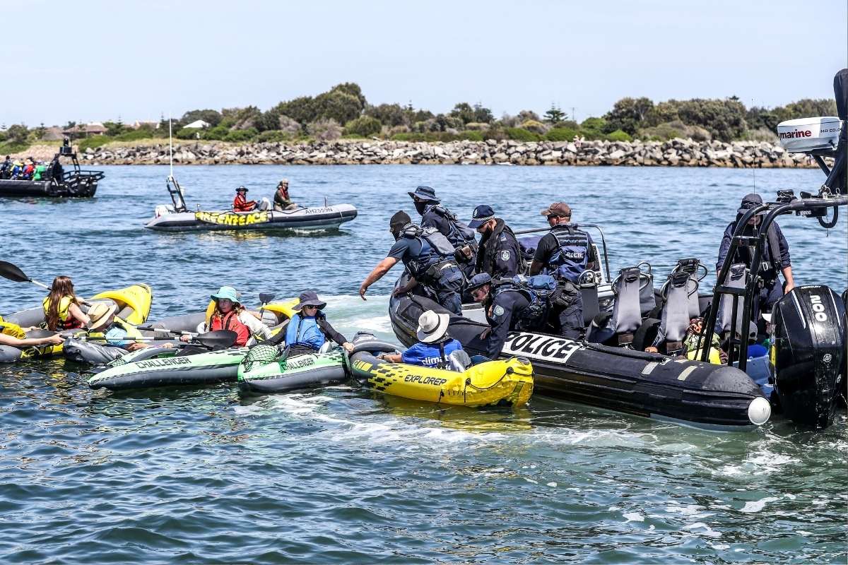 Article image for ‘Death wish’ – Ports boss issues warning to climate kayakers