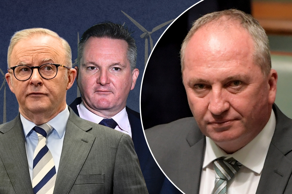 Article image for ‘Rent free in their heads’ – Barnaby Joyce on his push to end Net Zero