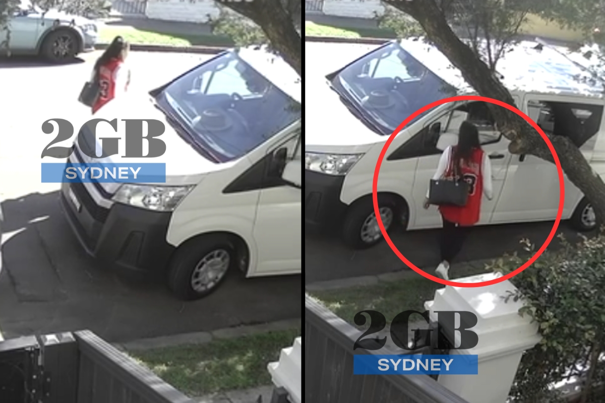 Article image for EXCLUSIVE – Brazen daylight robbery caught on camera