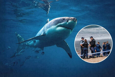 ‘Kill them’ – Surf journalist calls for shark cull after fatal attack