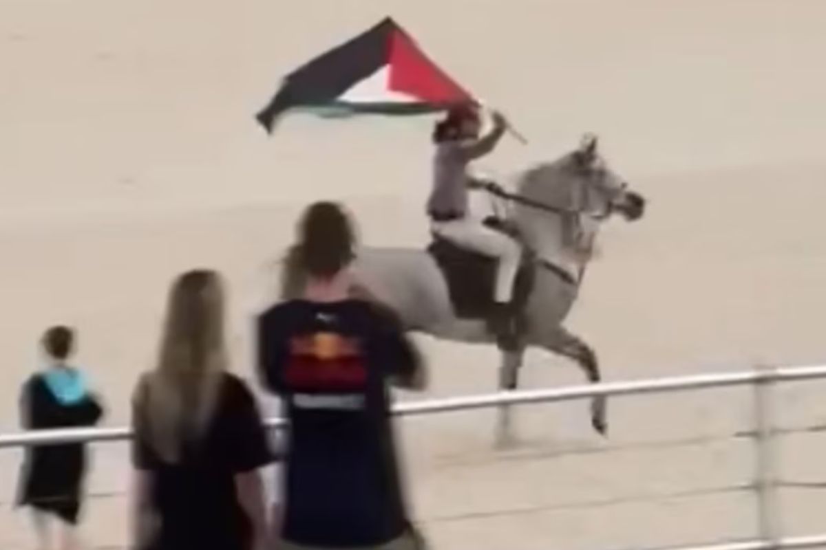 Article image for Beach ‘hijacked’ again – Hollie Hughes on the Bondi protest controversy