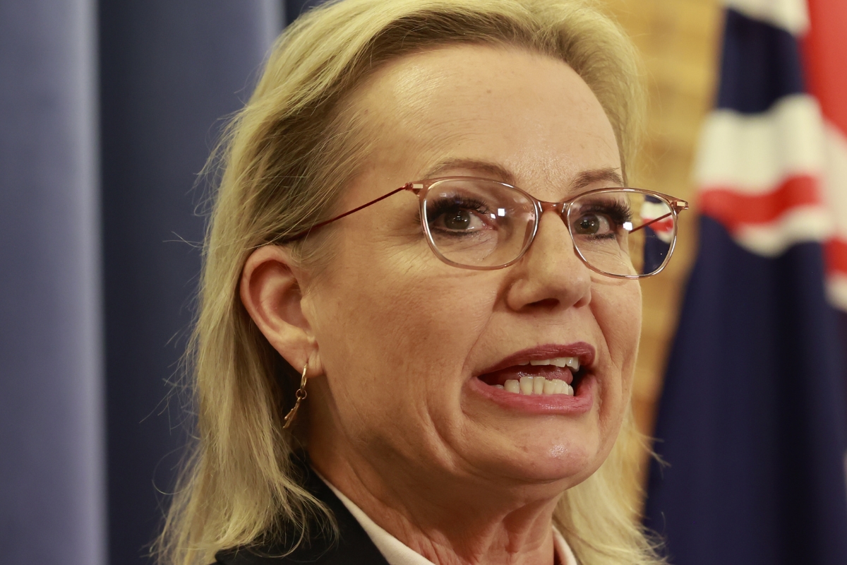 Article image for ‘Knives out’ – Sussan Ley addresses leadership concerns