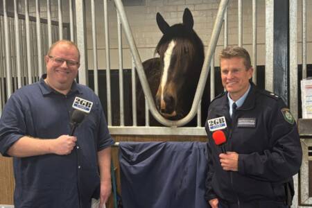 ‘Oldest in the world’ – NSW Police celebrate 200 years of the Mounted Unit