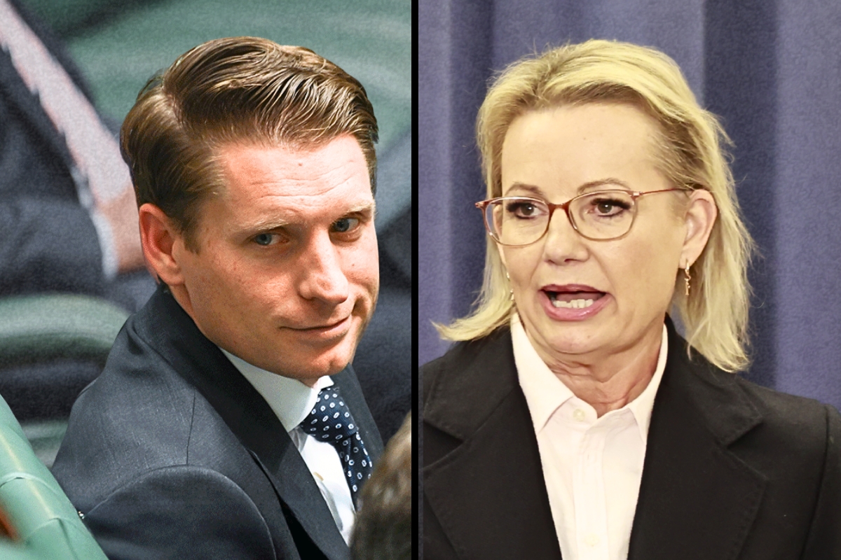Article image for ‘I’ll quit’ – Andrew Hastie’s threat to Sussan Ley’s leadership