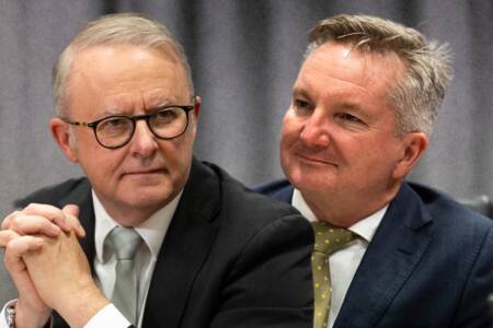 ‘Lunacy needs to stop’ – Levy rips into latest net zero ambitions