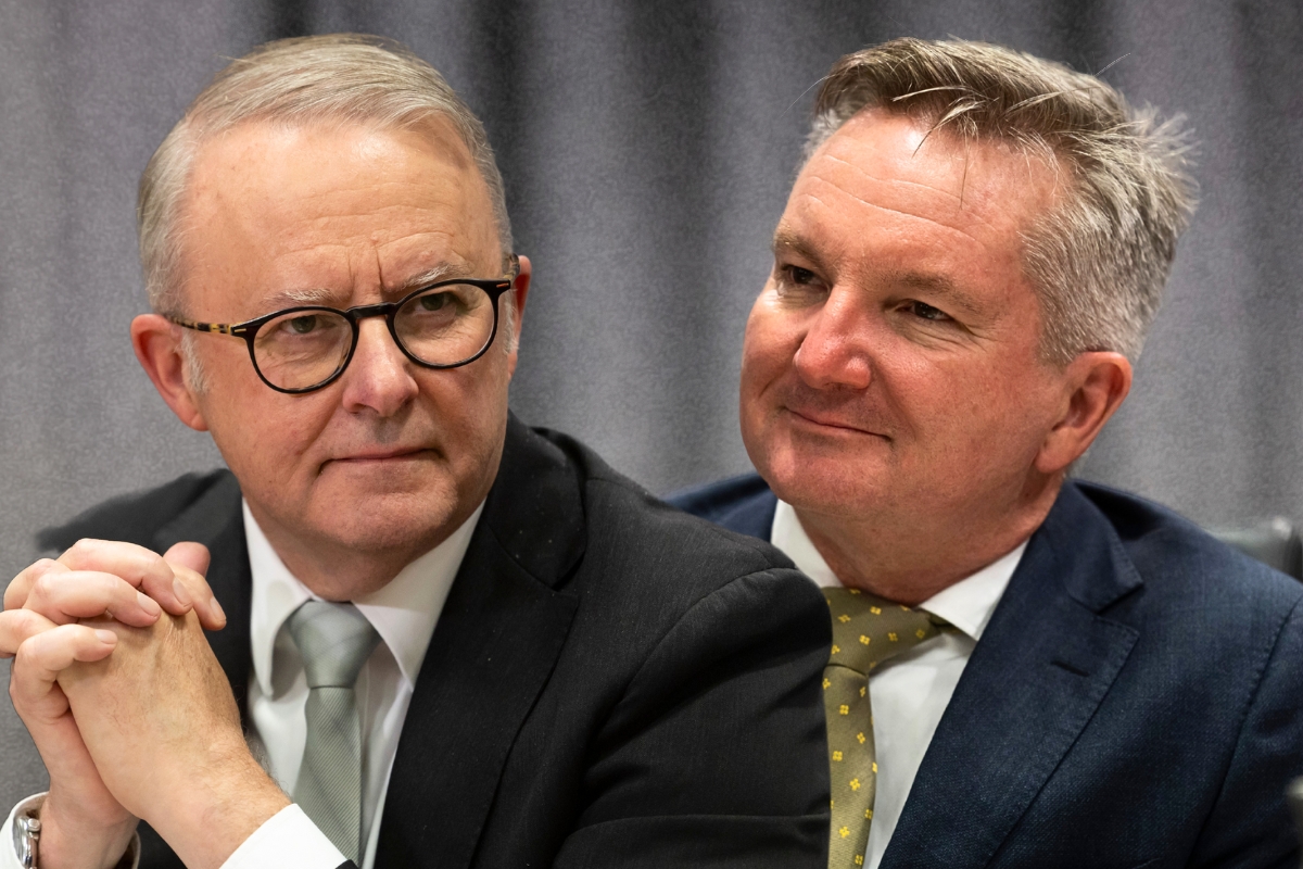 Article image for ‘Lunacy needs to stop’ – Levy rips into latest net zero ambitions