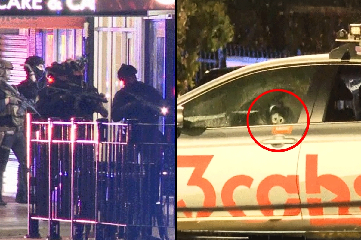 Article image for ‘50 to 100 shots’ – Police boss shares update on rooftop shooter