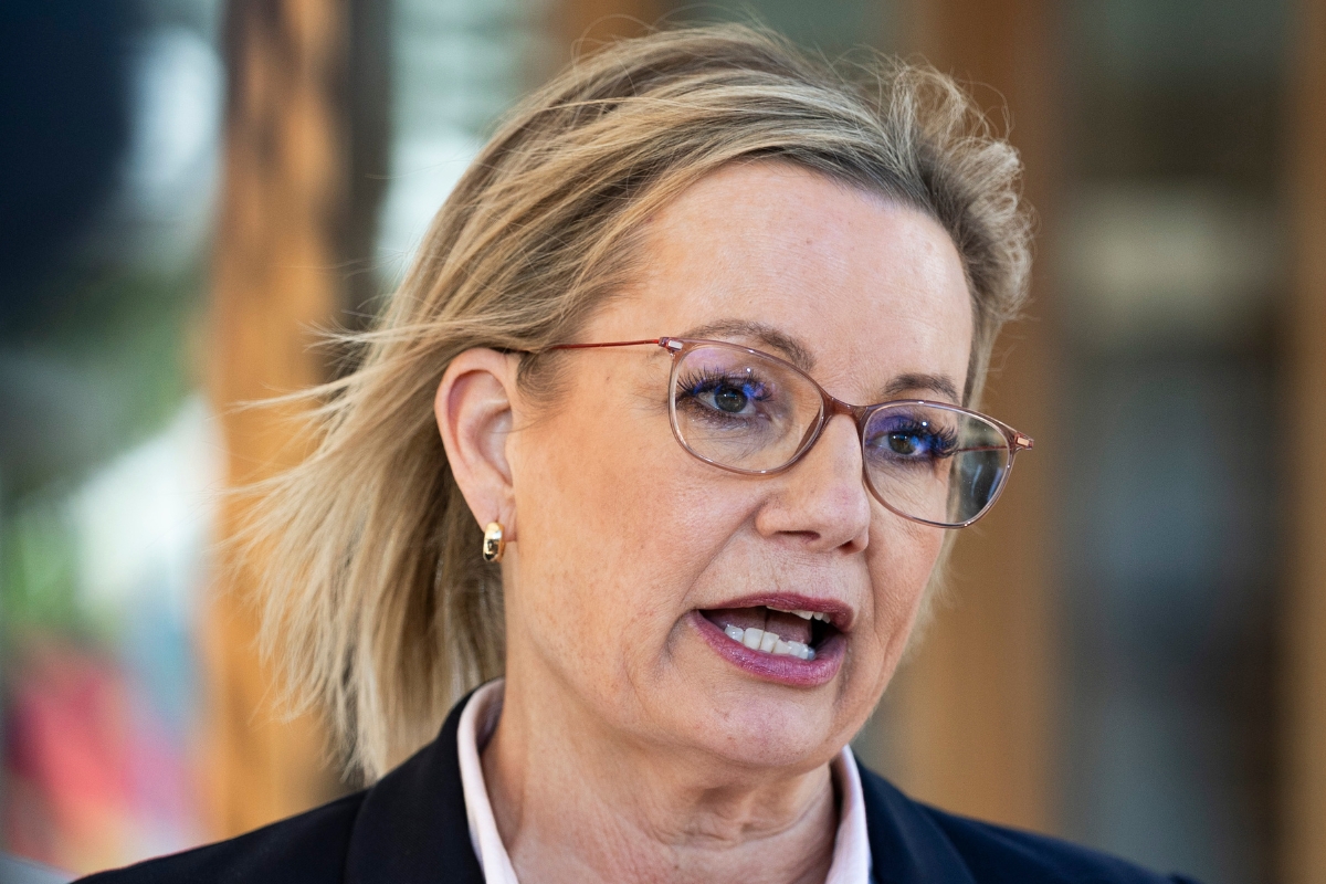 Article image for ‘She’s doomed’ – More Liberals desert Sussan Ley