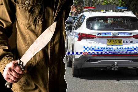 ‘Mum vs machete’ – 2-year-old witnesses terrifying attack