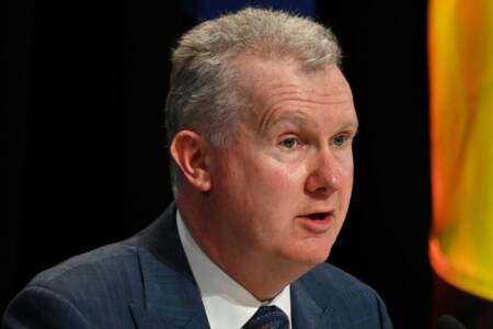 ‘Missing in action’ – Tony Burke urged to speak out on ISIS brides returning