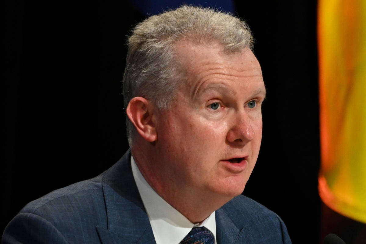 Article image for ‘Missing in action’ – Tony Burke urged to speak out on ISIS brides returning