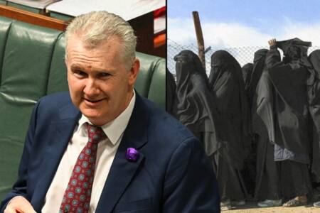 ‘Gullible morons’ – Tony Burke’s lies exposed over ISIS brides
