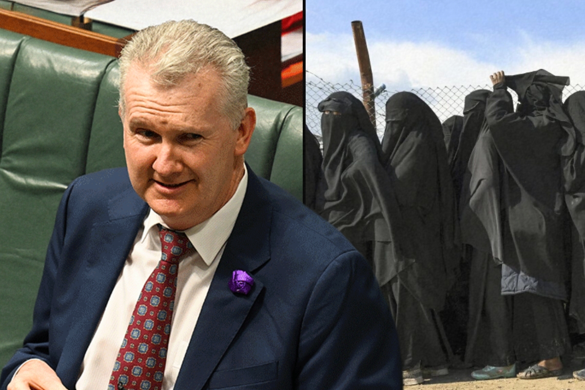 Article image for ‘Gullible morons’ – Tony Burke’s lies exposed over ISIS brides