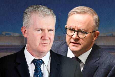 ‘Cover up’ – How Canberra helped Islamic State brides