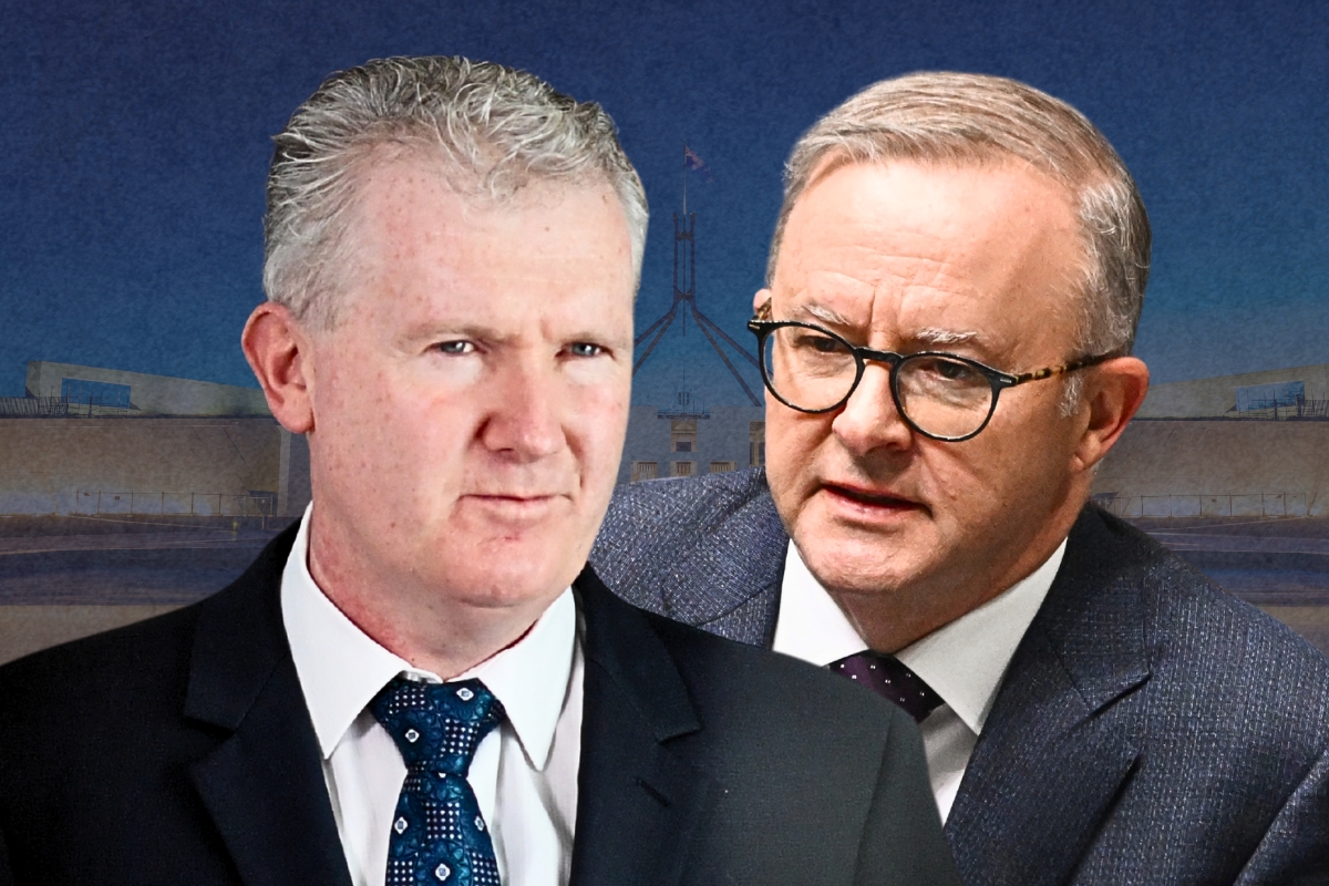 Article image for ‘Cover up’ – How Canberra helped Islamic State brides