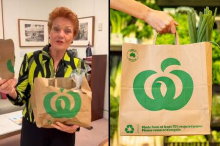 ‘Useless trash’ – Pauline Hanson declares war on paper bags