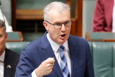 ‘Liar’ – Tony Burke backflips and admits to helping ISIS brides