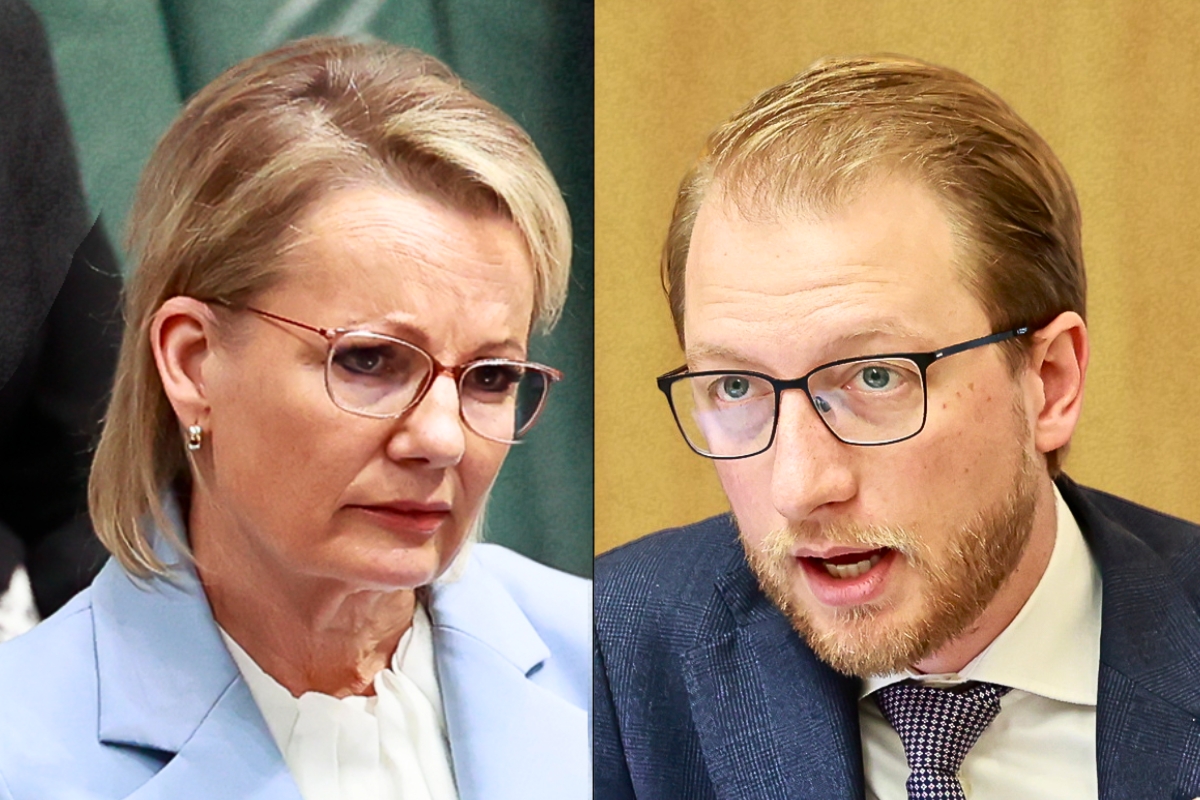 Article image for ‘Therapy session’ – Sussan Ley facing Liberal intervention