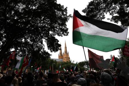 ‘Disgraceful’ – Alex Ryvchin responds as pro-Palestine activist win court battle